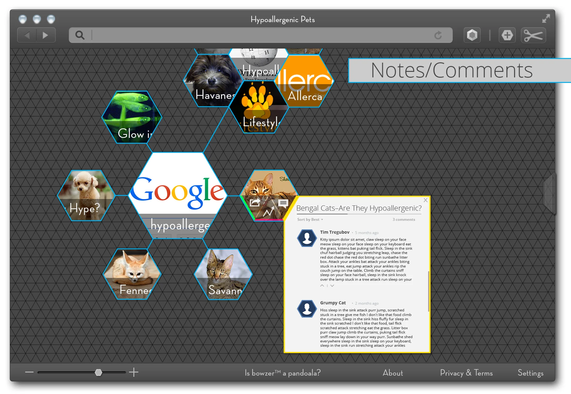 Notes and comments on each page node