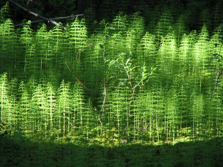 Flow, Education, and Ritalin: The Missing Link Between Addiction And Learning