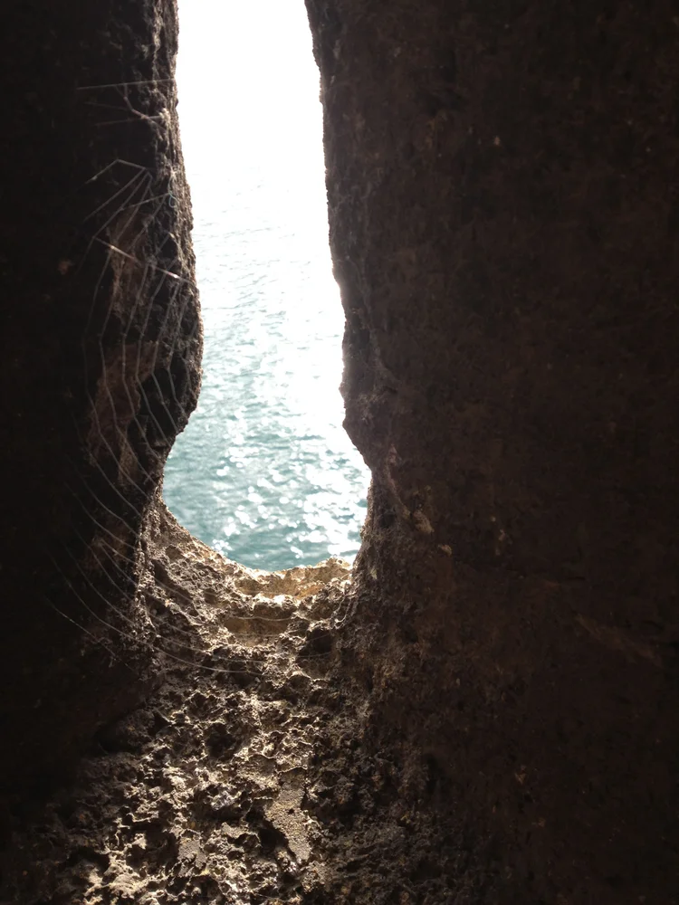 The Neural Mechanisms and Purposes of Randomness in Consciousness