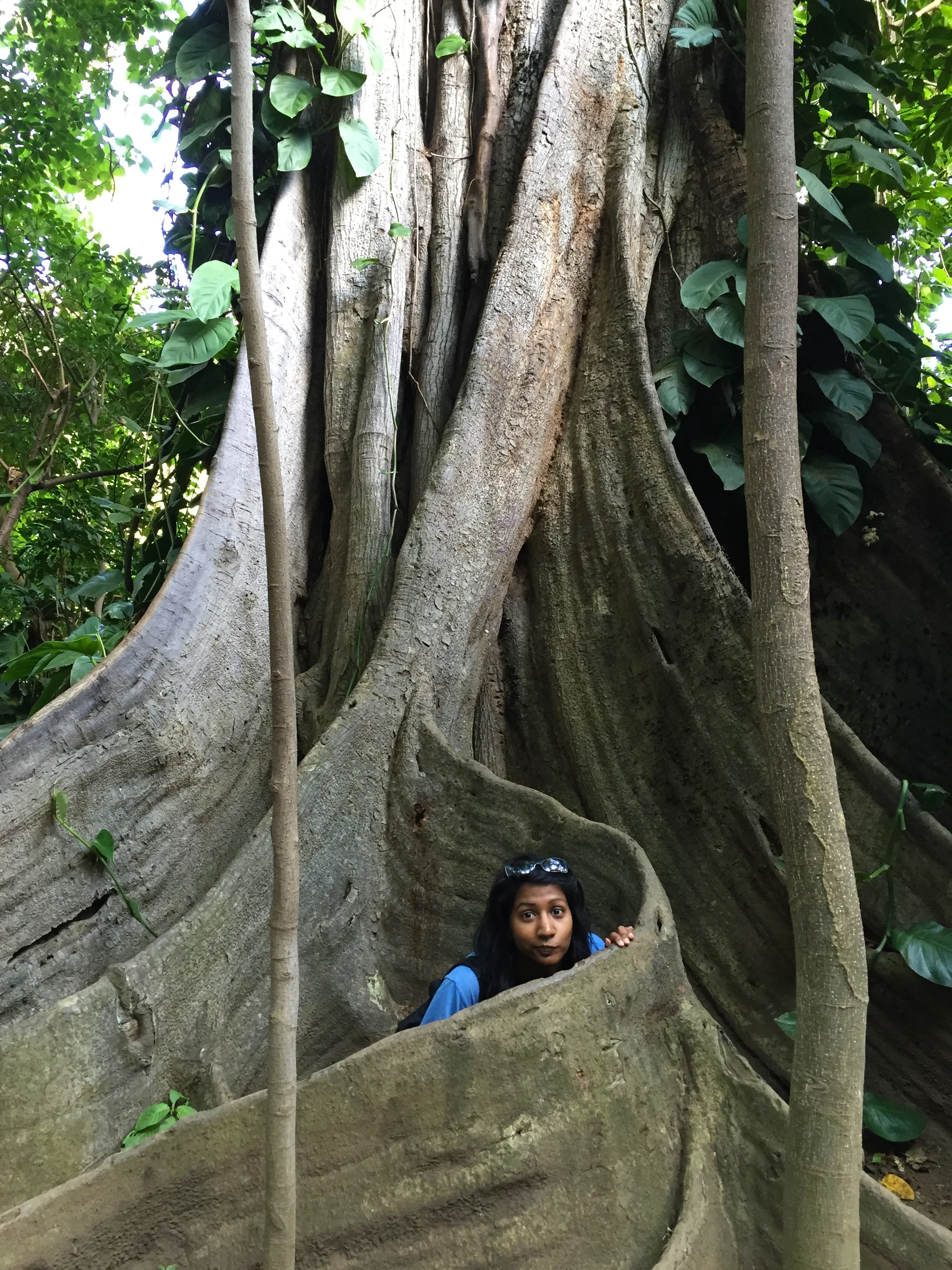 Nicaragua New Years 2015 9