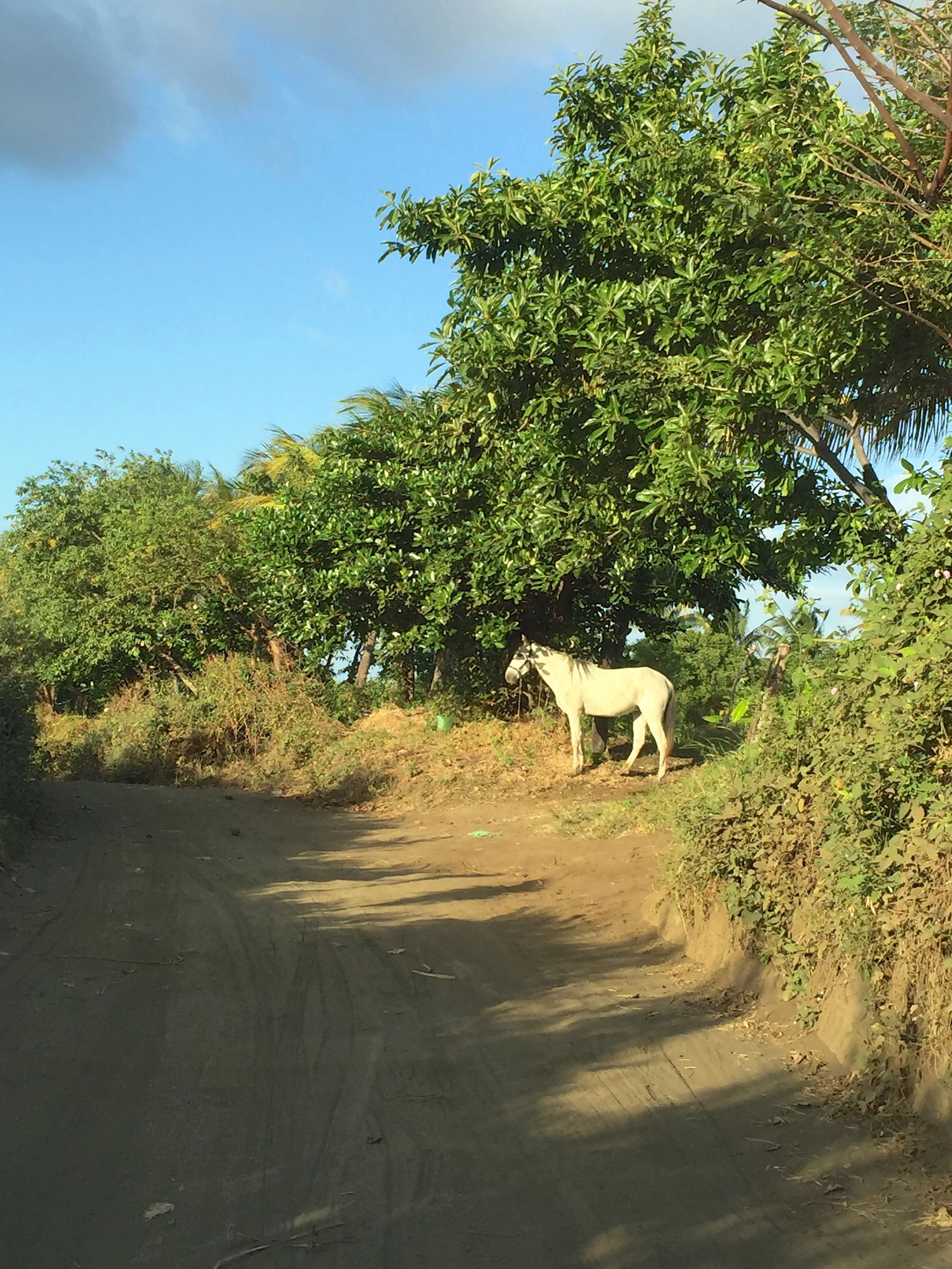 Nicaragua New Years 2015 11
