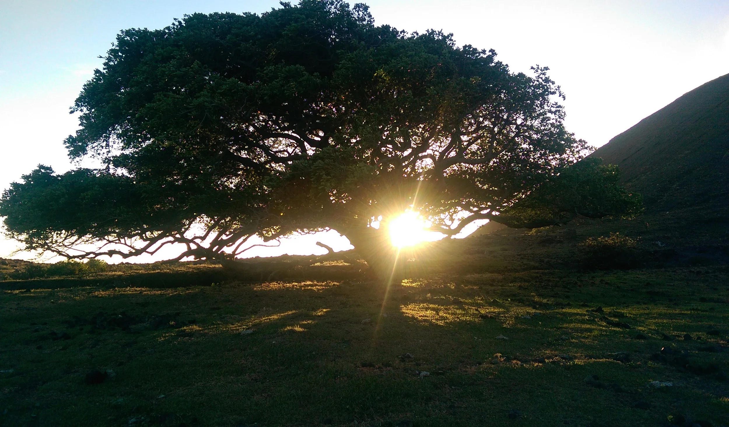 Nicaragua New Years 2015 3