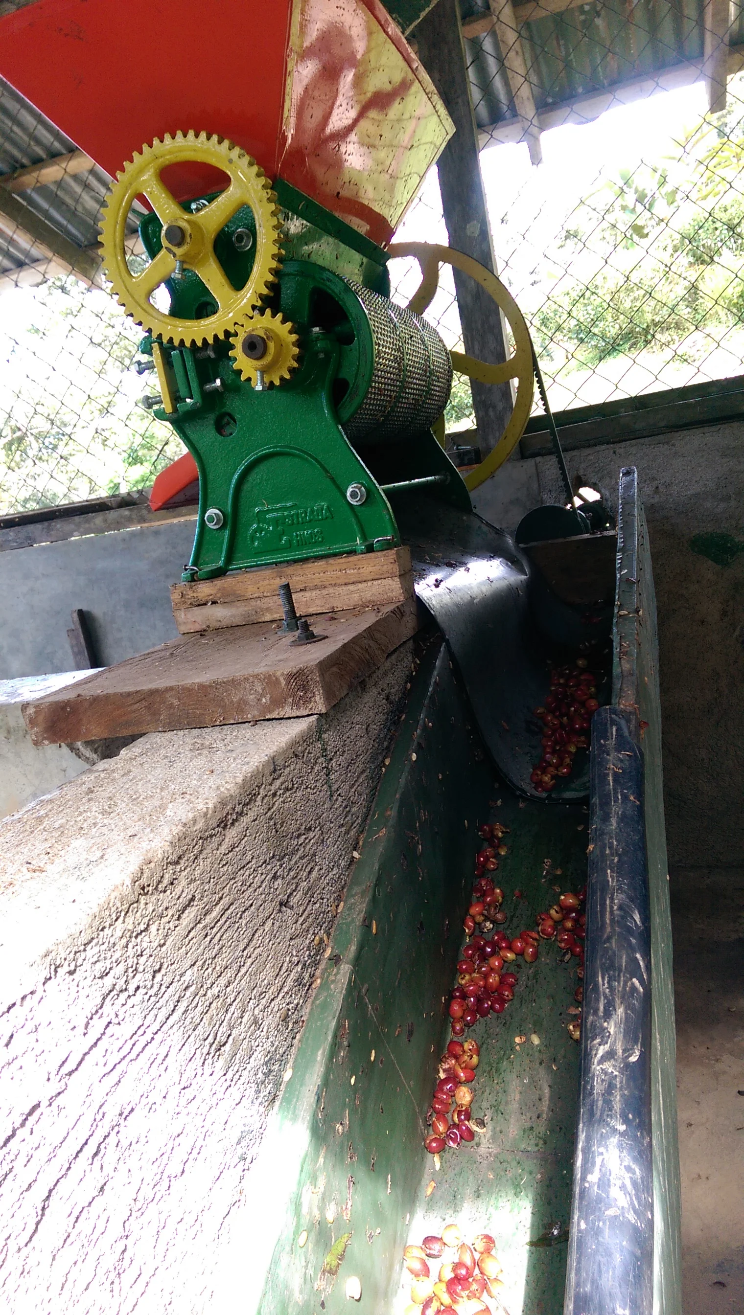 Nicaragua New Years 2015 42