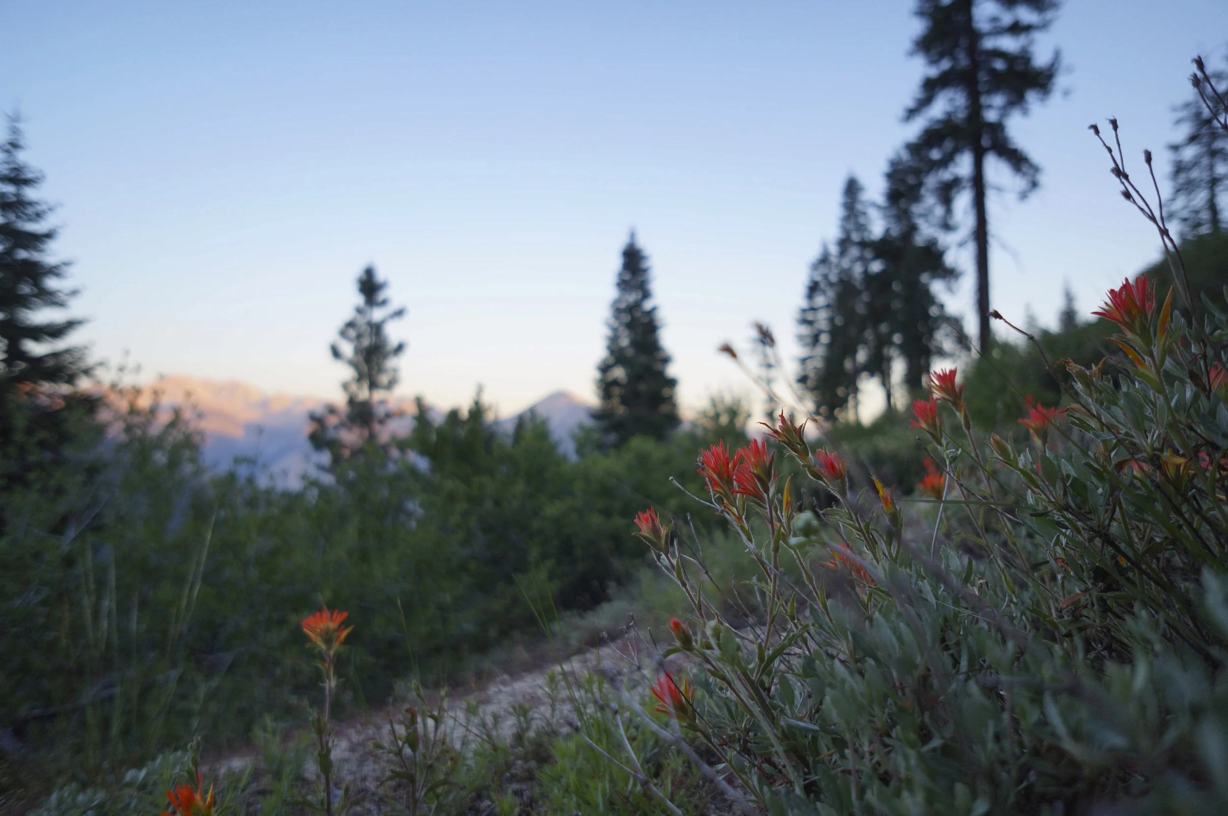 Sierra High Route 2013 7