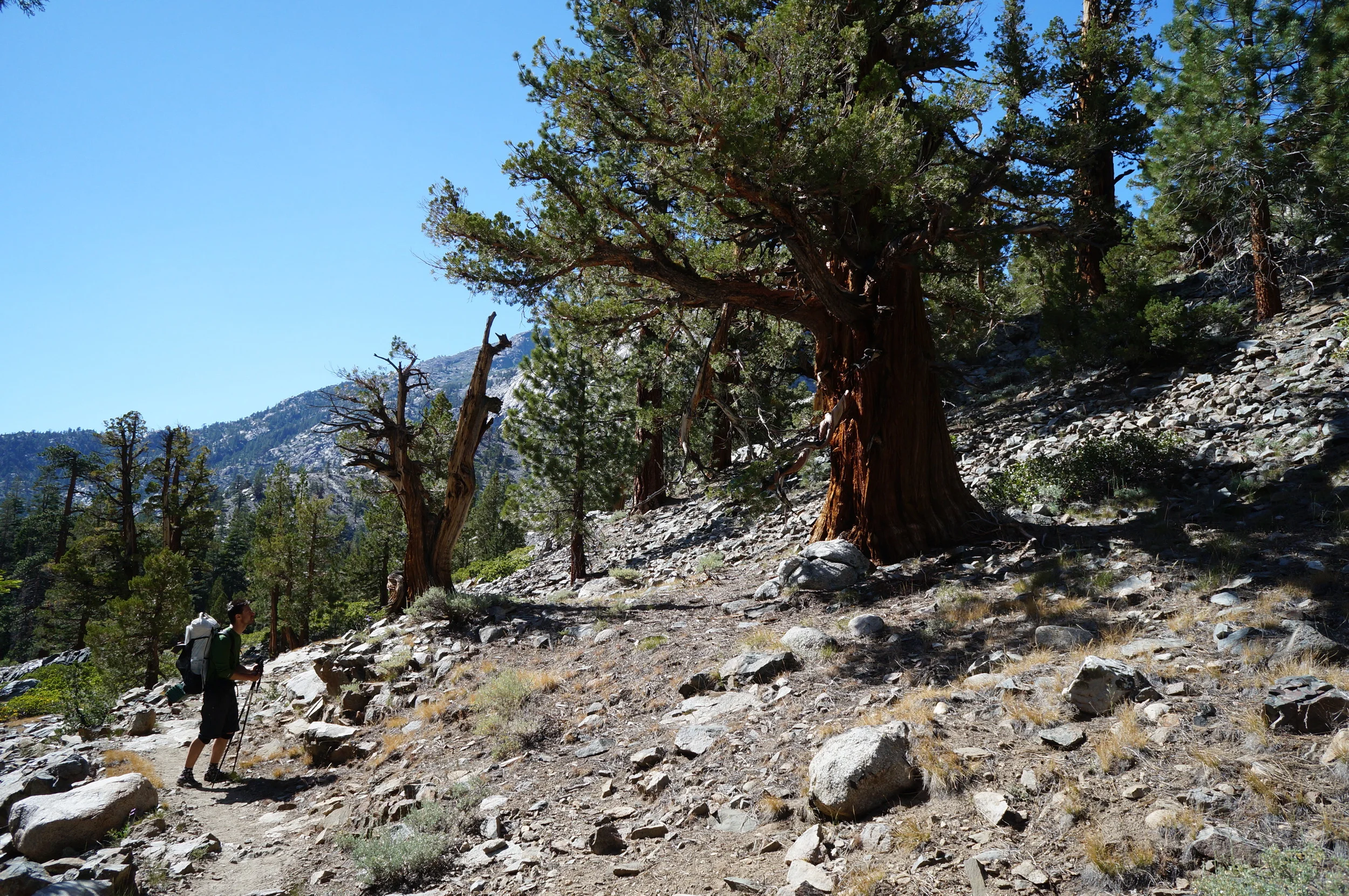 Sierra High Route 2013 63