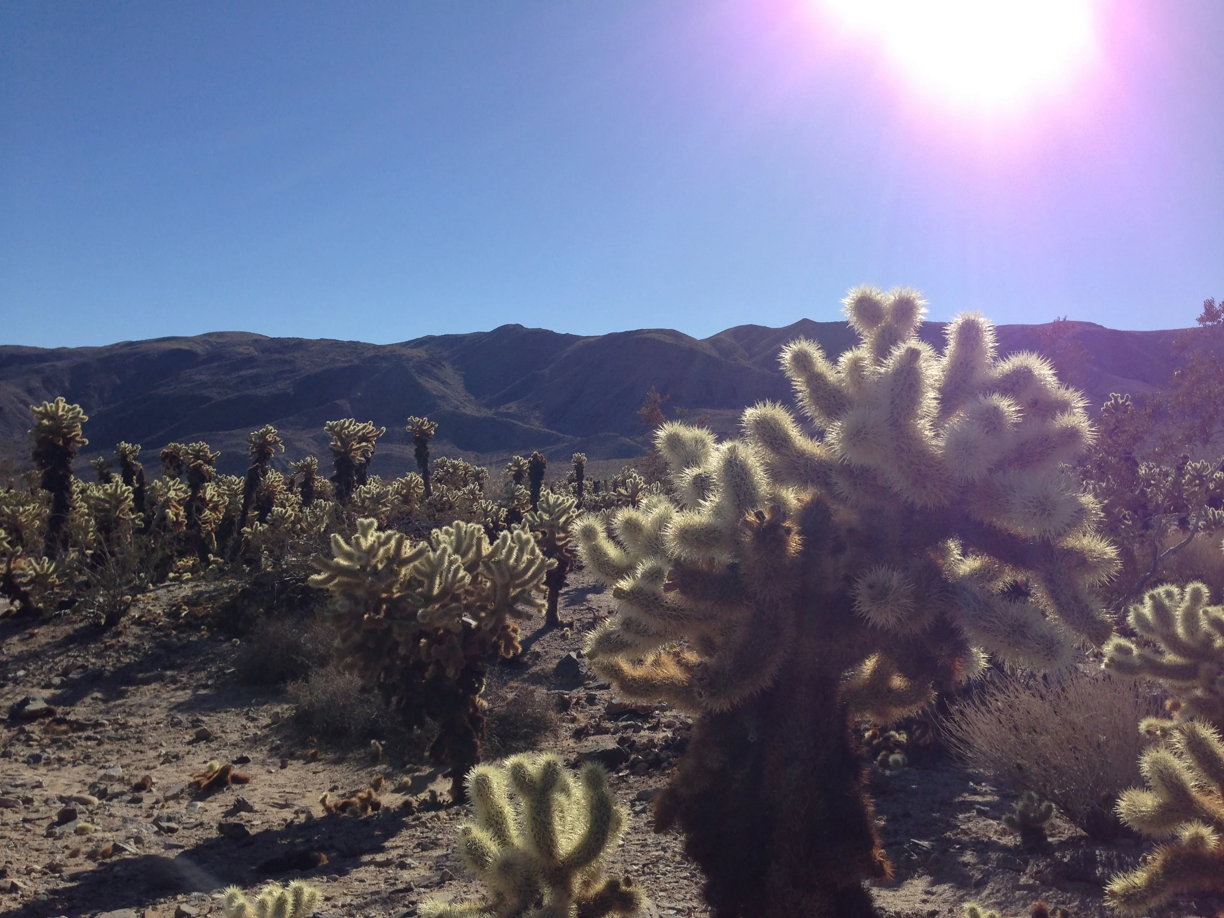 Southwest US Roadtrip 2014 60